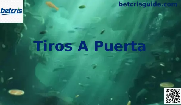 Tiros a Puerta Betcris México
